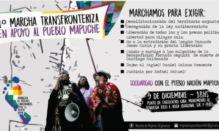 La resistenza dei mapuche in difesa della vita e del territorio
