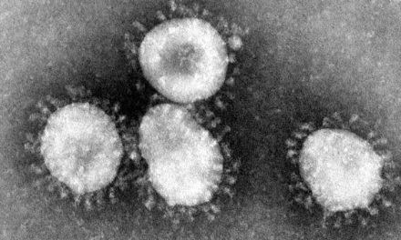 Dossier Coronavirus