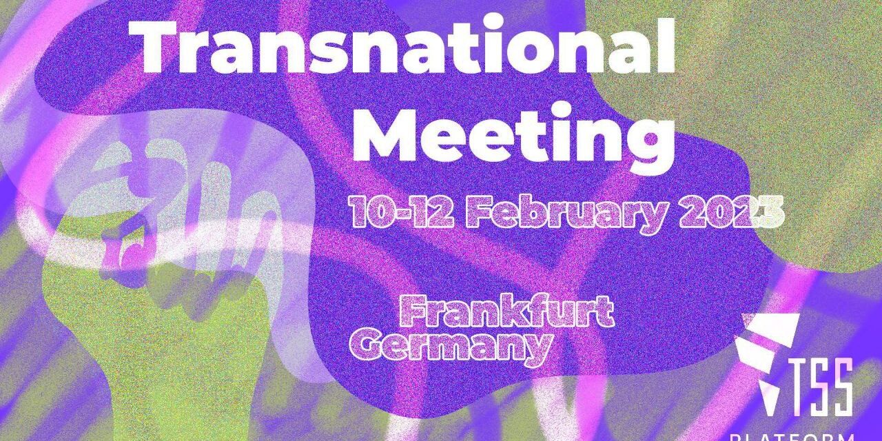 We Want More: Strike the War and the Climate Crisis! TSS Meeting in Frankfurt 10-12/02/2023