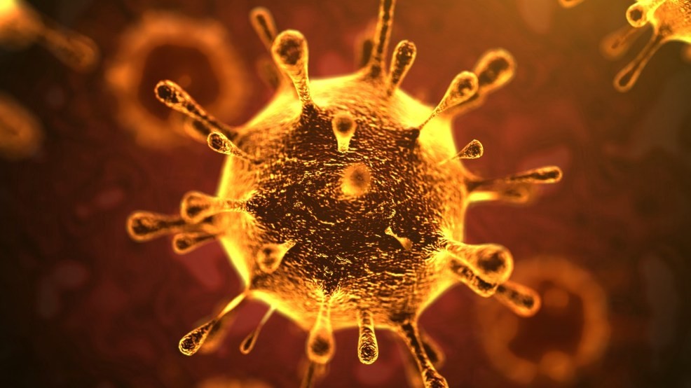 ORIENTARSI NELLA NEBBIA – Il Coronavirus nella città della colonna infame