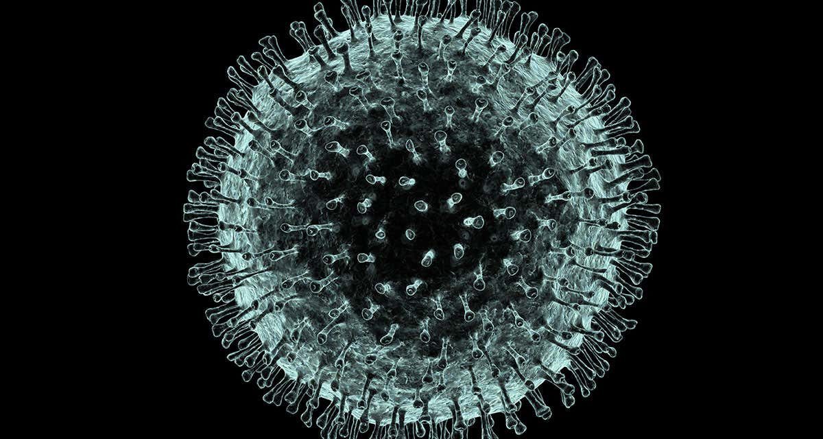 Coronavirus – Translations