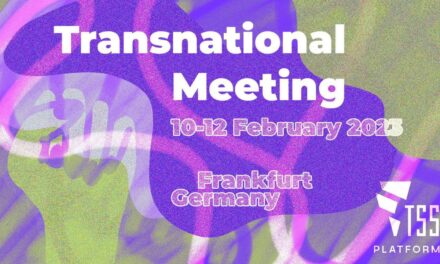We Want More: Strike the War and the Climate Crisis! TSS Meeting in Frankfurt 10-12/02/2023